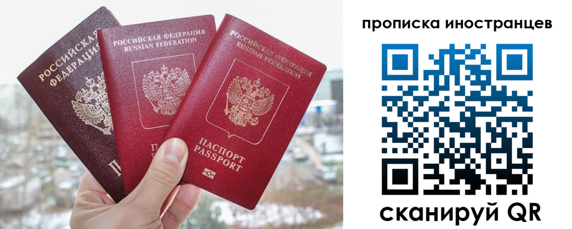 временная регистрация поиск в Смоленской области